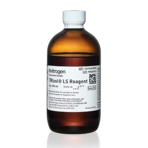 美國(guó)Invitrogen TRIzol LS試劑 RNA DNA 有機(jī)提取 10296028CN
