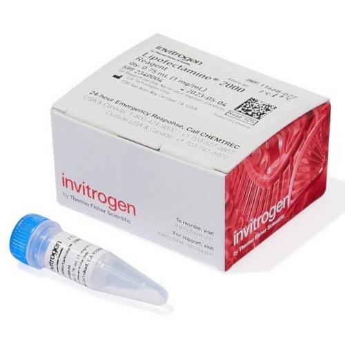 Life賽默飛Invitrogen Lipofectamine 2000轉染試劑11668027