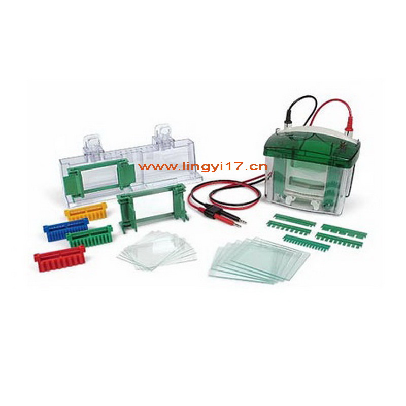 Bio-rad美國伯樂Mini-PROTEAN Tetra Cell小型垂直電泳槽，1-2塊，厚0.75mm凝膠1658002