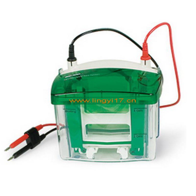 Bio-rad Mini-PROTEAN®Tetra Cell美國伯樂小垂直板電泳槽，預(yù)制膠電泳槽1-4塊1658004