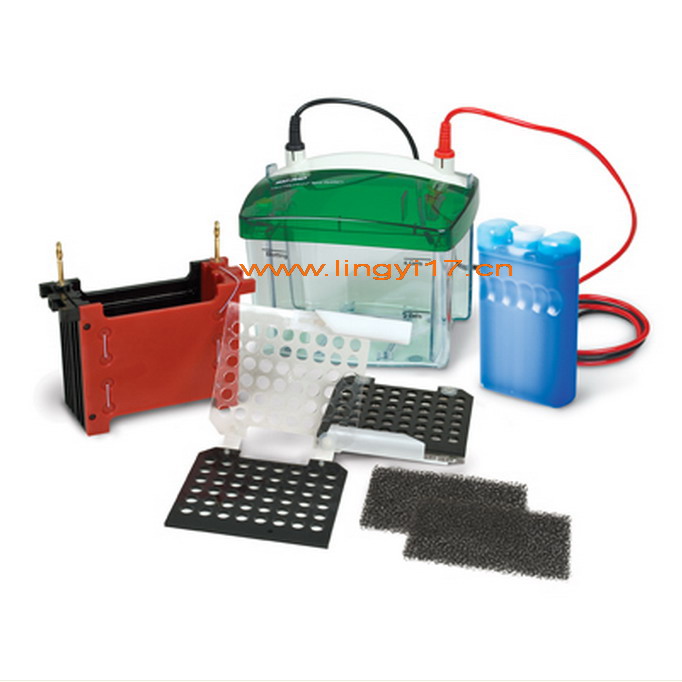 BIO-RAD Mini Trans-Blot®美國伯樂小型轉印槽，迷你濕轉印槽1703930