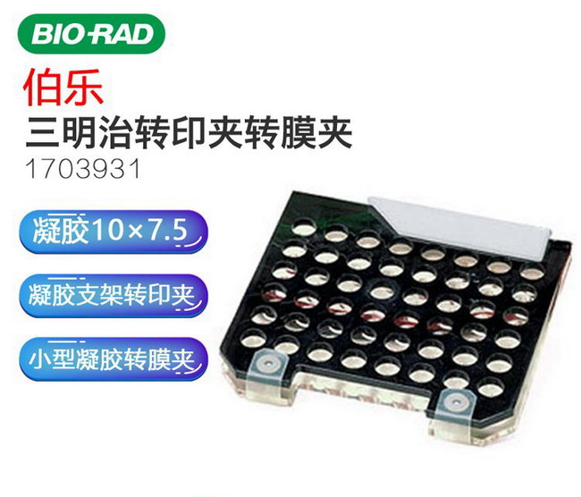 伯樂Bio-Rad轉印凝膠支架 轉印夾 科研三明治電轉移夾轉膜1703931