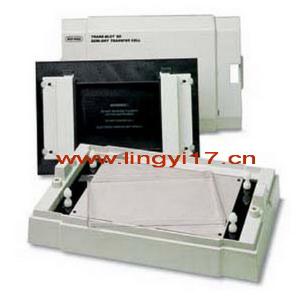 美國BIO-RAD Trans-Blot SD半干轉印系統轉印槽1703940