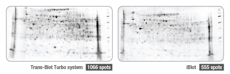 BIO-RAD Trans-Blot®Turbo美國伯樂全能型蛋白轉印系統1704150