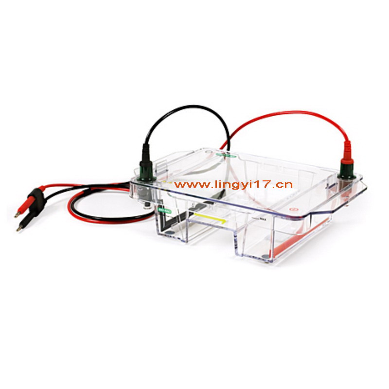Bio-rad美國伯樂寬式迷你水平電泳槽Mini-Sub Cell GT Cell1704485 