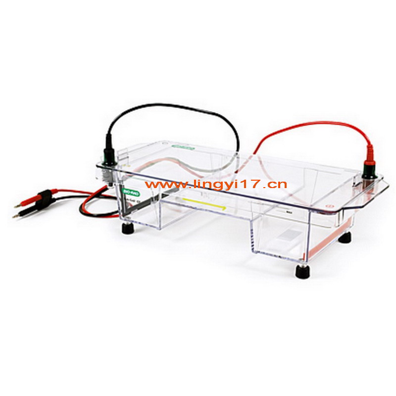 Bio-rad美國伯樂中型水平電泳槽Sub-Cell® GT Cell1704482