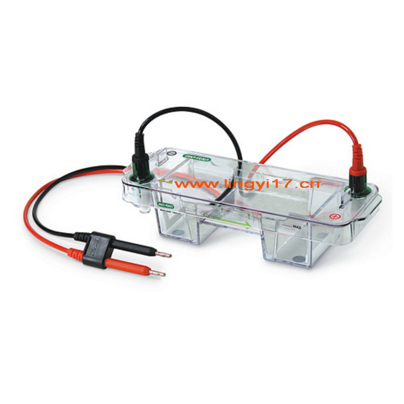Bio-rad美國伯樂小型水平電泳槽Mini-Sub Cell GT Cell1704406