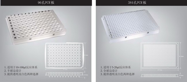 AXYGEN愛思進八連管管,96孔板