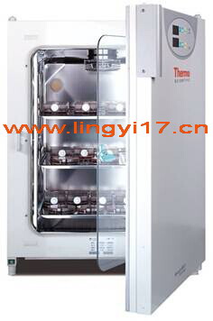 美國熱電Thermo BB15 CO2細胞培養箱