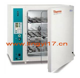 美國熱電Thermo BBD6220 CO2細胞培養(yǎng)箱