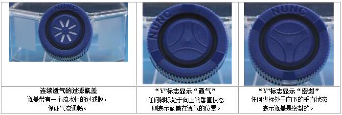丹麥Nunc EasYFlasks™易用培養瓶