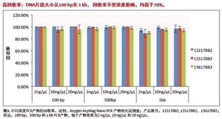 愛思進磁力架IMAG-96-P-G