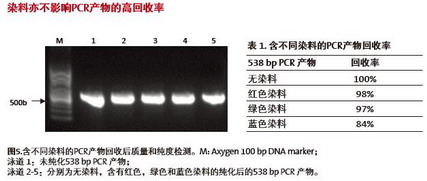 康寧磁力架IMAG-96-P-G