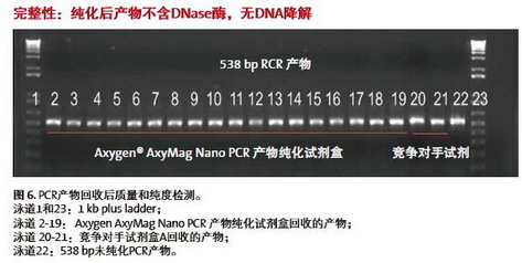 康寧進口產物純化試劑盒，愛思進磁力架IMAG-96-P-G
