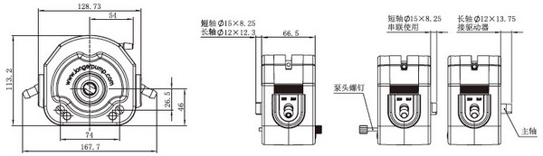 蘭格快裝型蠕動泵泵頭KZ25