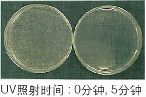 日本松下(原三洋)二氧化碳培養箱MCO-20AIC，容積：215L