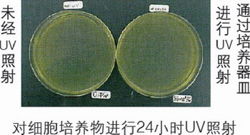 日本松下(原三洋)二氧化碳培養箱MCO-20AIC，容積：215L