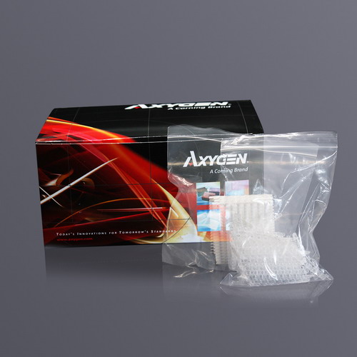 愛思進0.1 mL白色八連管和熒光蓋PCR-0108-LP-RT-W