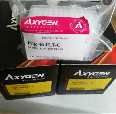愛思進透明0.2ml無裙邊96孔PCR板PCR-96-FLT-C