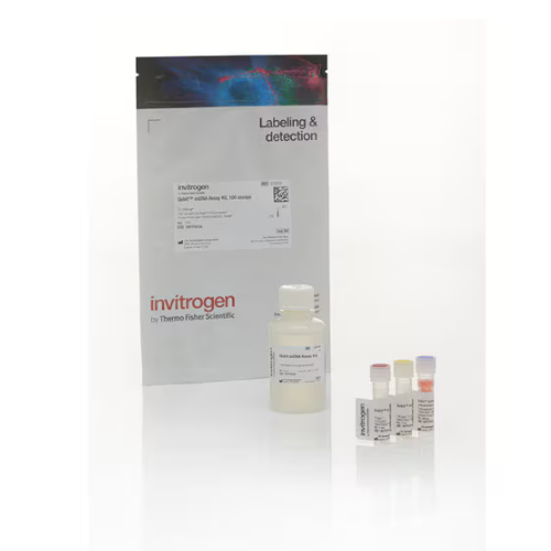賽默飛Invitrogen Qubit ssDNA 檢測試劑盒Q10212