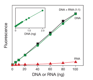 美國(guó)Life Invitrogen Qubit® 3.0熒光定量?jī)xQ33216，Q33217，Q33218