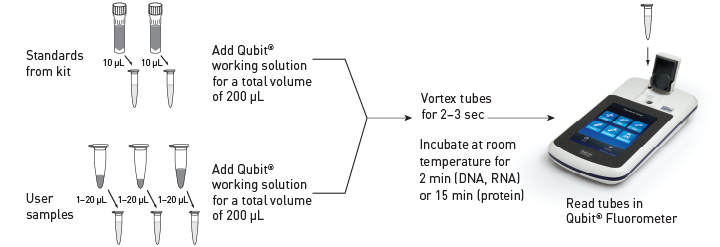 美國(guó)Life Invitrogen Qubit® 3.0熒光定量?jī)xQ33216，Q33217，Q33218